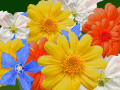 Gen_Spring_120x90.jpg